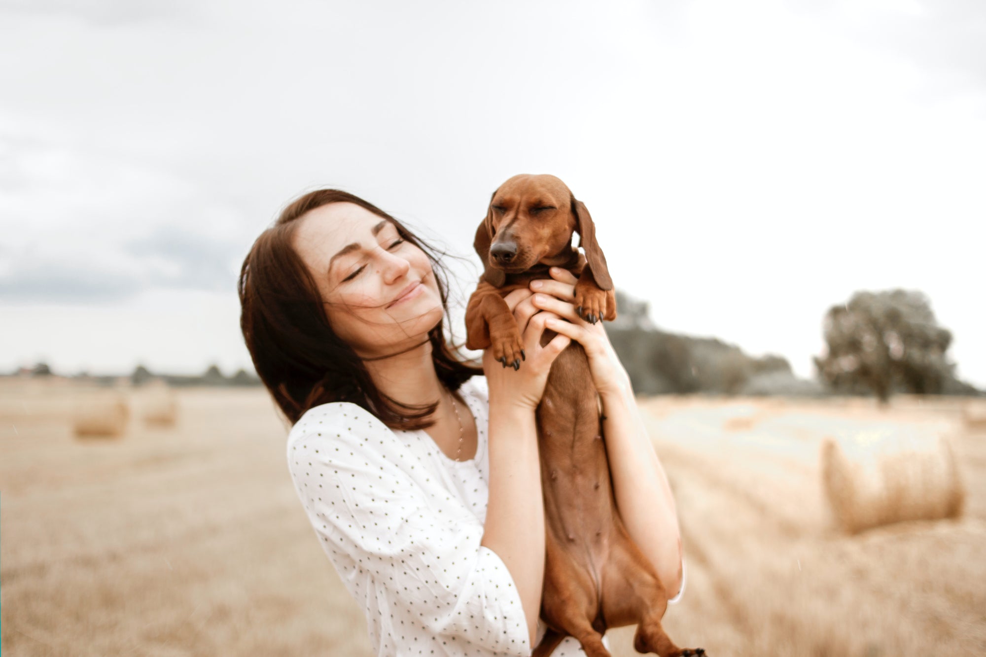 8 Lessons Pet Ownership Can Teach Your Child