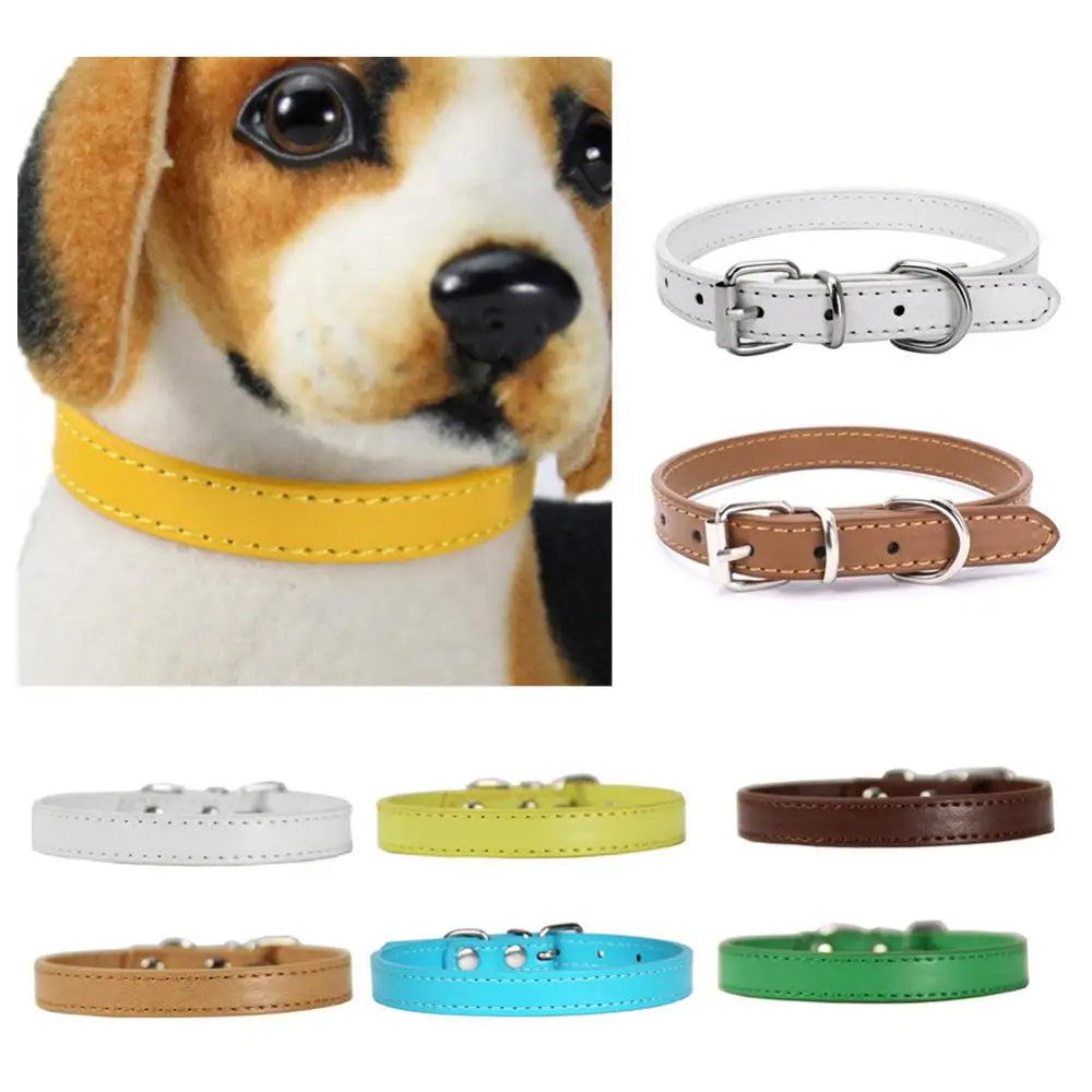 Green ChicTrek Collar