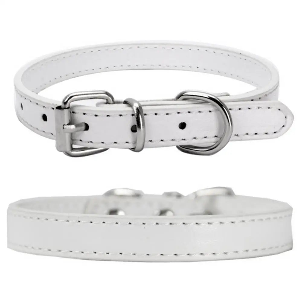 Green ChicTrek Collar