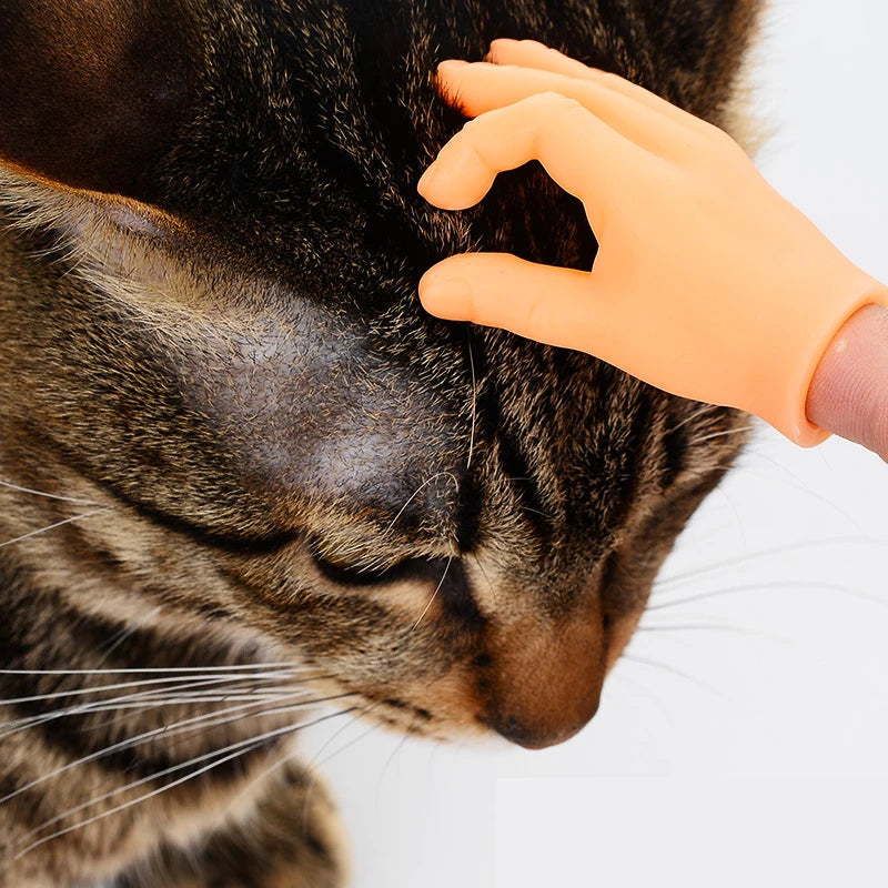 Paw Tickler N5