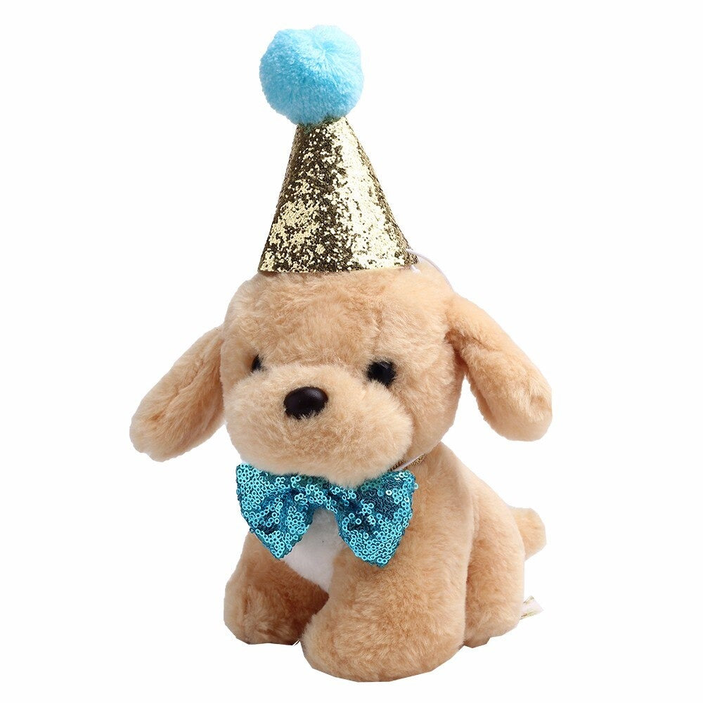 Chapeau d'anniversaire bleu