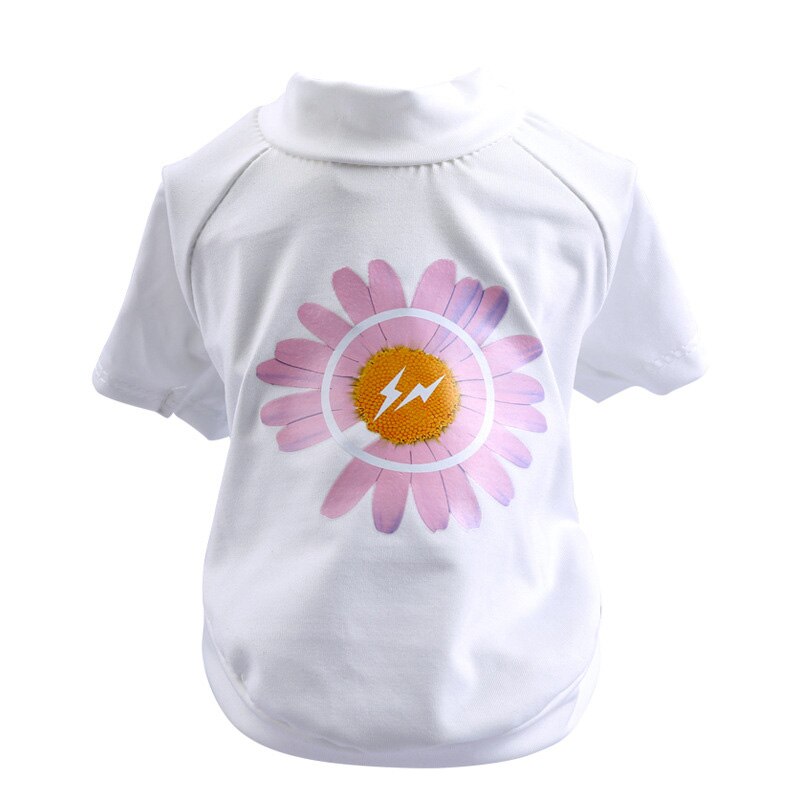 White Pink Daisy