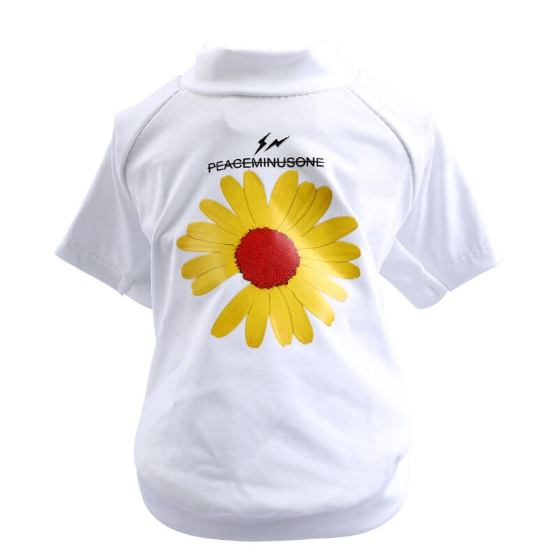 Marguerite blanche et jaune