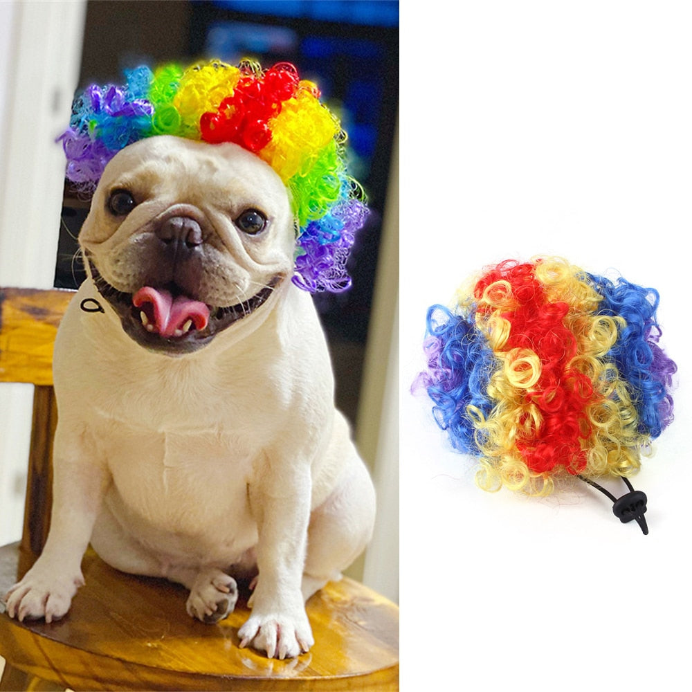 Clown Wig