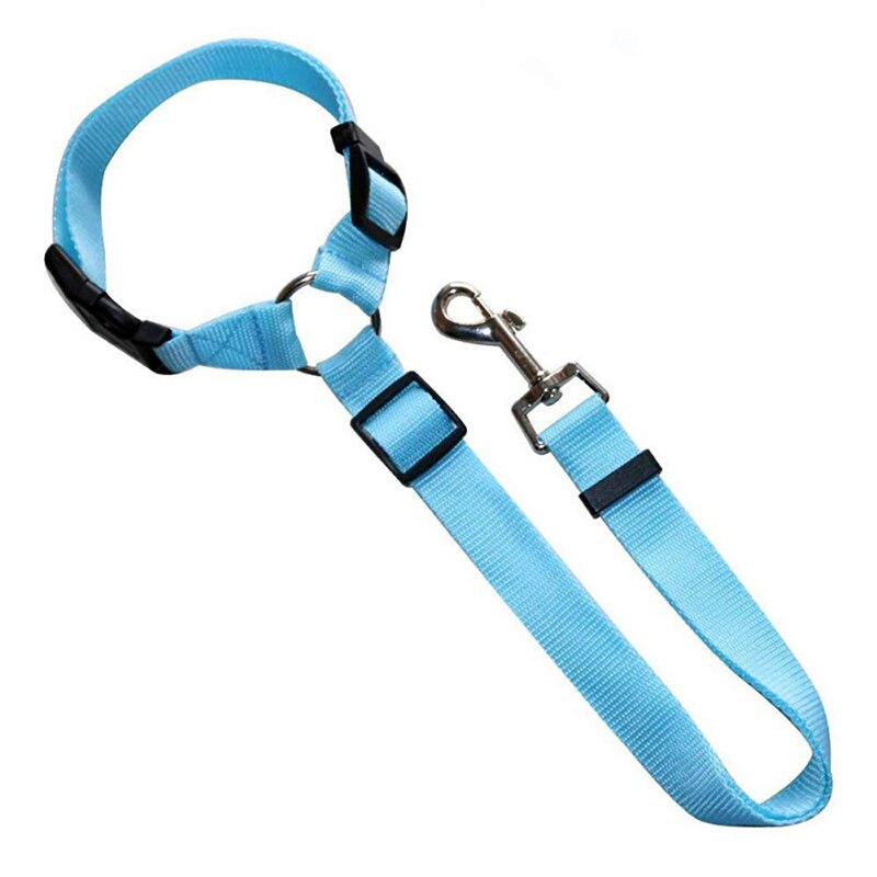 Ceinture de sécurité et laisse bleu clair