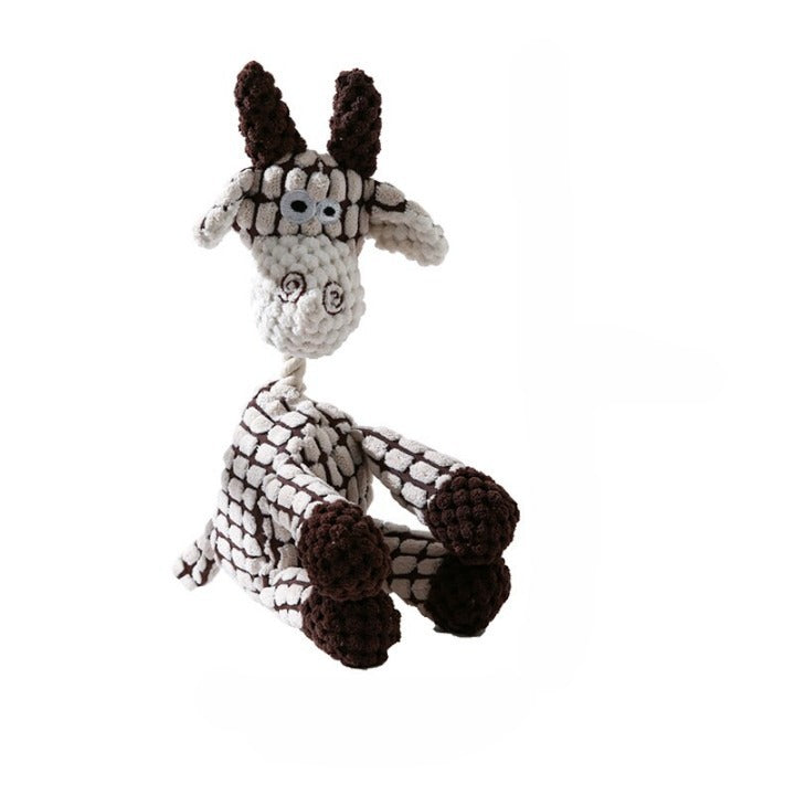 Âne blanc