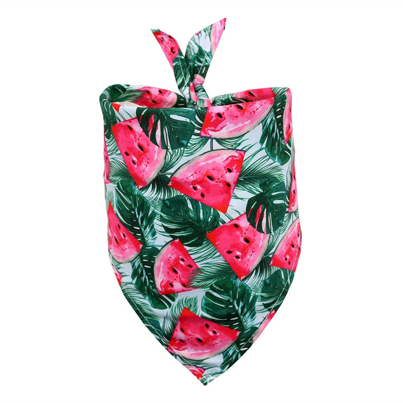 Pastèque verte