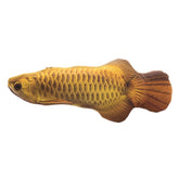 Gold Arowana