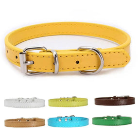 Khaki ChicTrek Collar