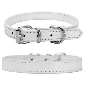 Khaki ChicTrek Collar