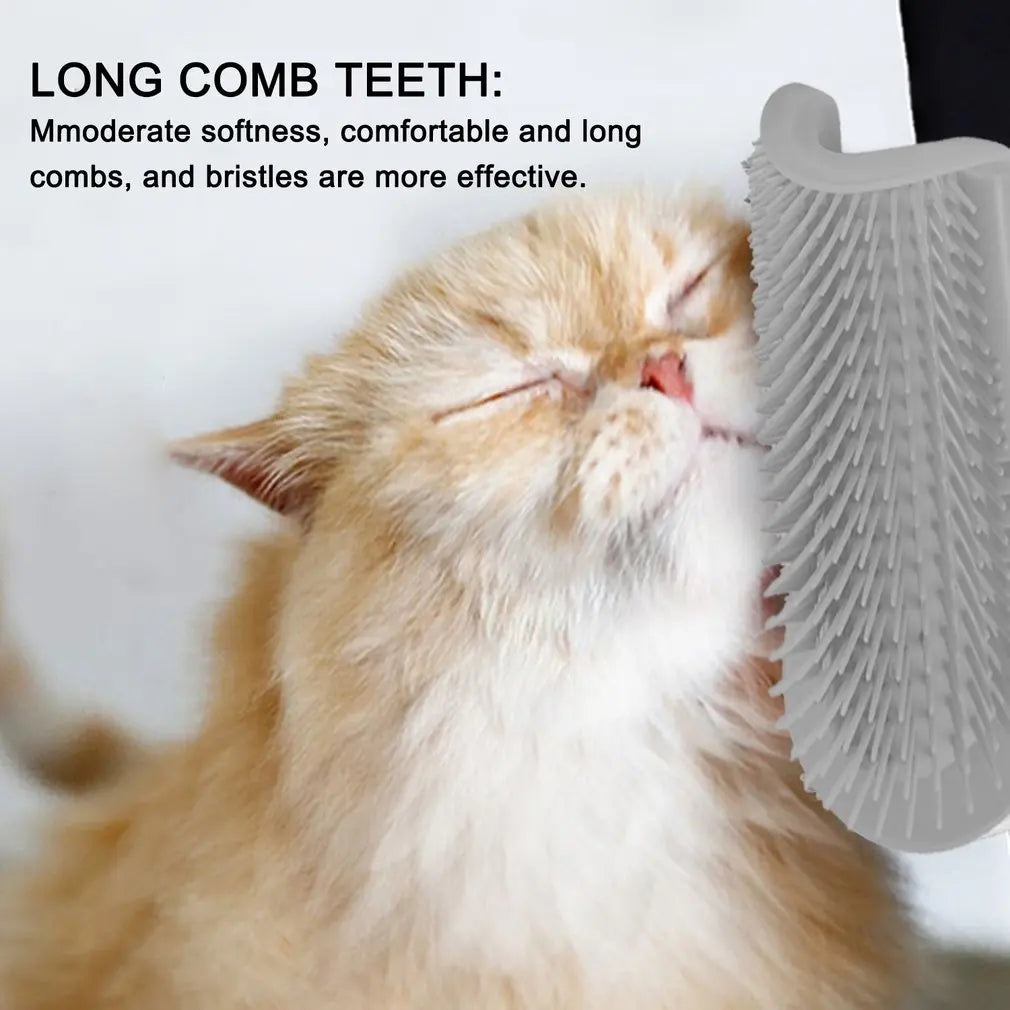 Orange CatnipGroomer