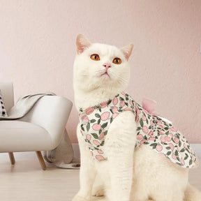 Pink LemonKitty Chic