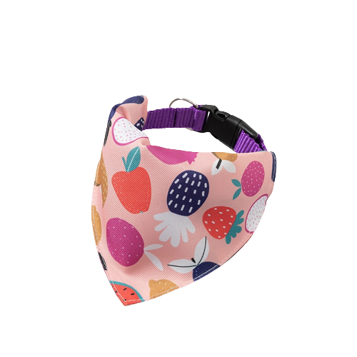 Fruitful Delight Bow Tie Collar Bandana