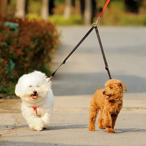 Black DualWalk Leash