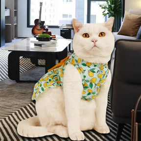 Yellow LemonKitty Chic