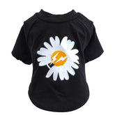 Black White Daisy