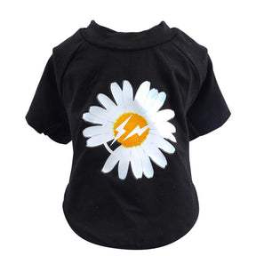 Black White Daisy