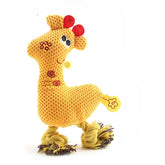 Poussin jaune 
