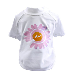 White Pink Daisy