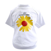 Marguerite blanche et jaune