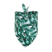 Feuille de tortue verte