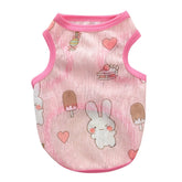 Lapin 