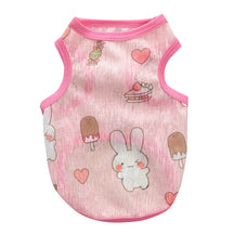 Lapin 