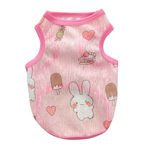 Lapin 