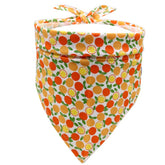 Orange Orange 