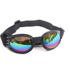 Black Sunglasses