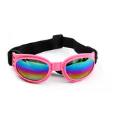 Pink Sunglasses