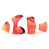 Clownfish