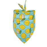 Citron 
