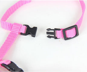 PInk Harness and Leash