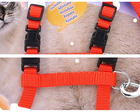 Red Black Harness and Leash