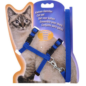 Blue Harness and Leash