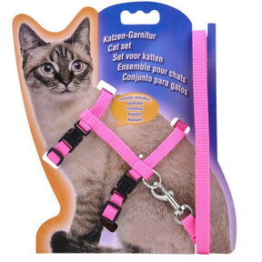 PInk Harness and Leash