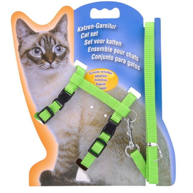 Green Harness and Leash